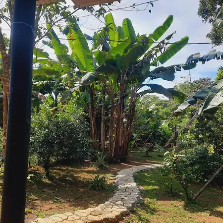 Cabinas Corcovado Green Parrot, Los Planes Drake-3
