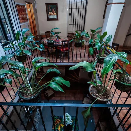 Hotel Rosa Mexicano-2
