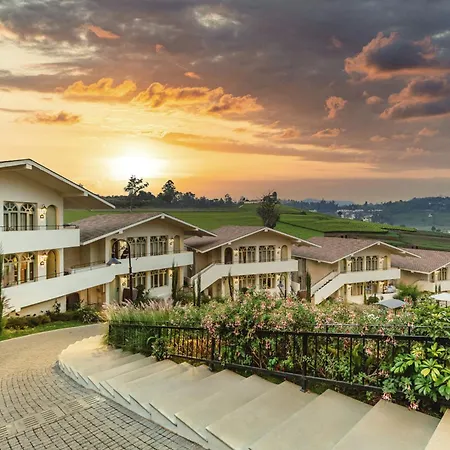 Mango Hill Shola Ooty-3