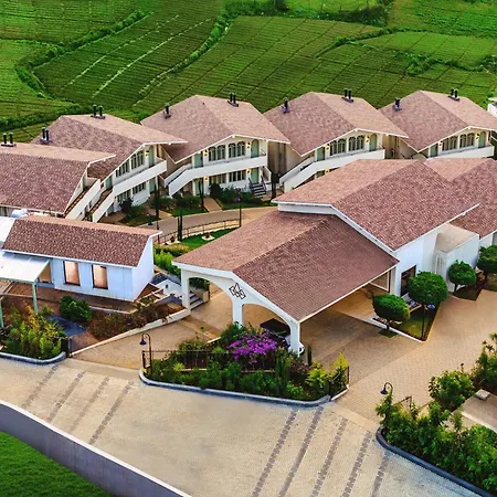 Mango Hill Shola Ooty-2