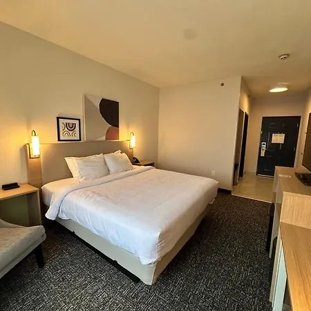 Spark By Hilton Guilford-3