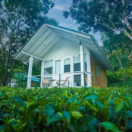 Ilukketiya Tea Chalets-3