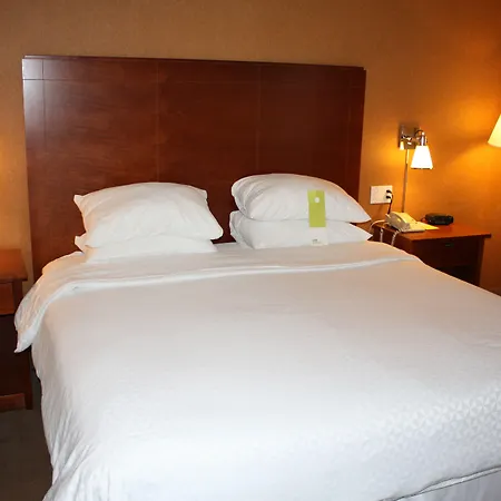 Four Points By Sheraton Chicago O'Hare-2