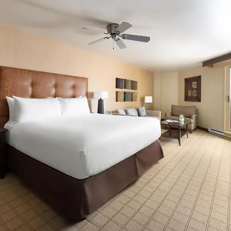 Elevation Hotel & Spa-3