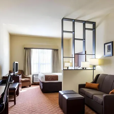 Comfort Suites Near Nasa - Clear Lake-3