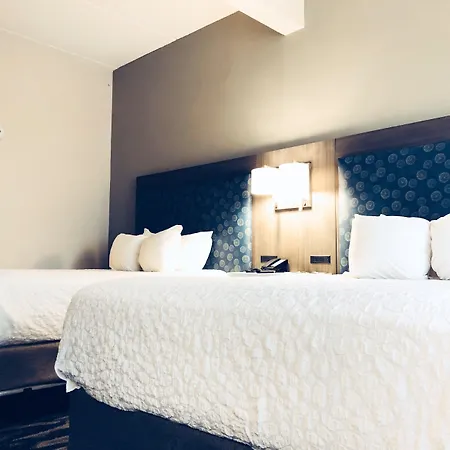 Comfort Inn & Suites Greenville Near East Carolina University-3