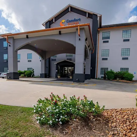 Comfort Suites Oil Center-2