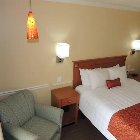 Fleur De Lis Beach Motel-2