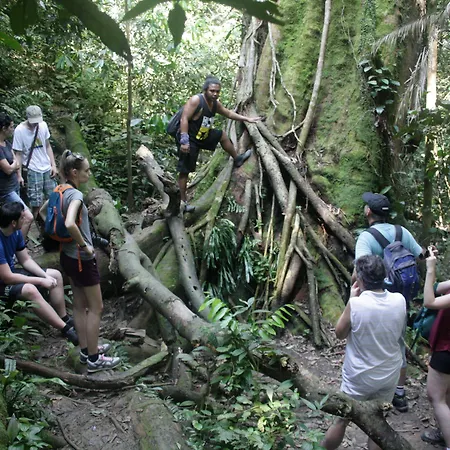Indra Valley Inn Bukit Lawang-2