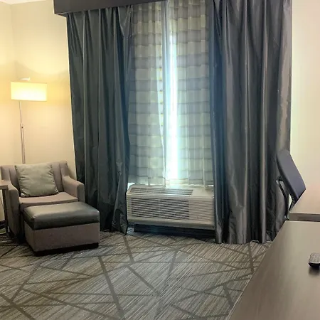 Comfort Inn & Suites Houston I-45 North - Iah-2