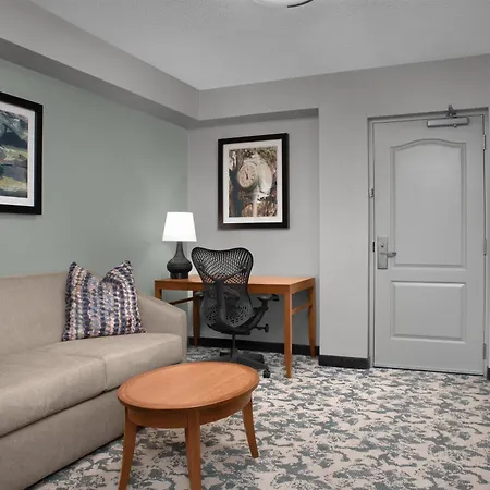 Hilton Garden Inn Tallahassee Central-3