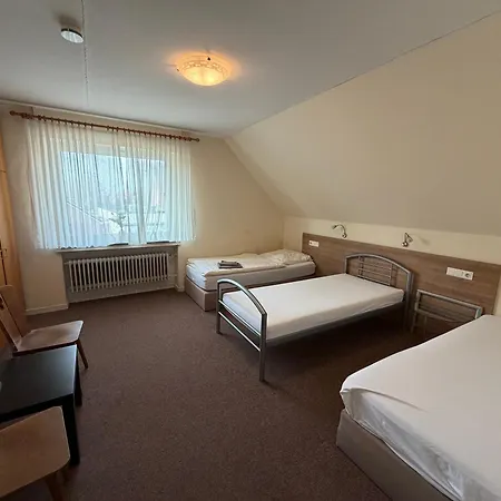 Hotel Restaurant Zum Schwan-2