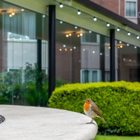Daresbury Park Hotel-3