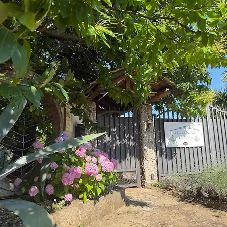 A Casa di nonna Emilia-3