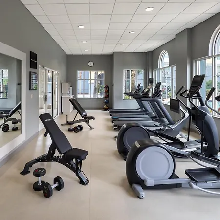 Hilton Garden Inn Orlando Lake Buena Vista-2