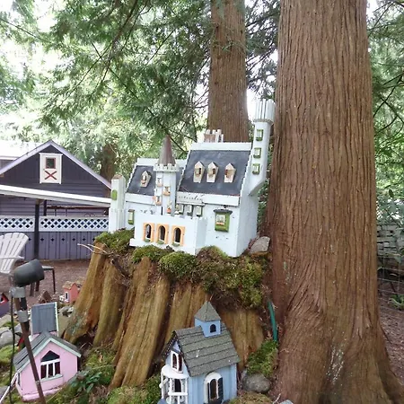 Tea Cozy Bed & Breakfast-3
