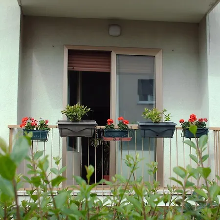 Guest House Cuore del Friuli-2