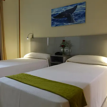Hotel Andrea'S-2
