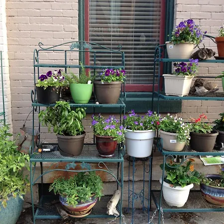 Main Street Bed & Breakfast-3