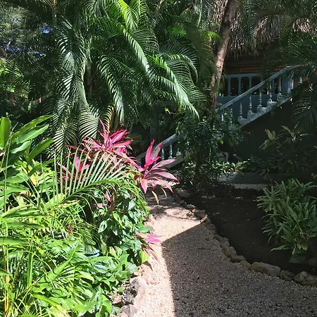 Harbor Reef Hotel-3