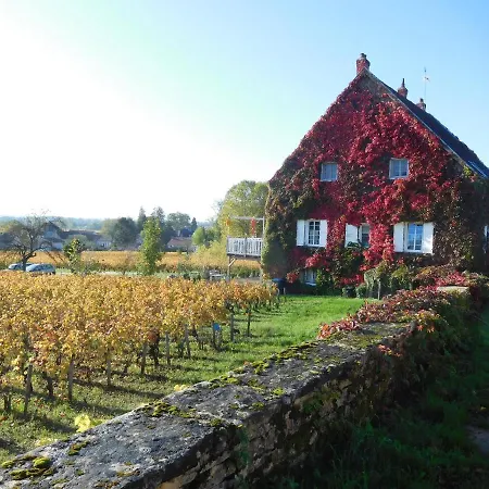 La Passerelle des Corton B&B-3