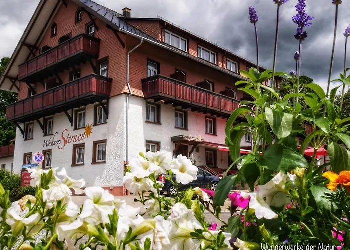 Wochner'S Hotel-Sternen Am Schluchsee Hochschwarzwald