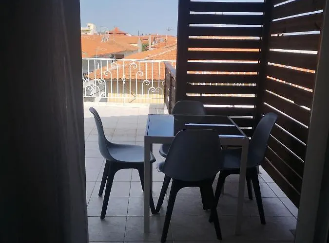 Gatos House 2
