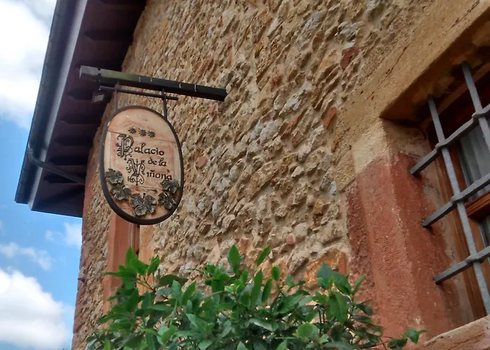 Hotel Palacio De La Viñona