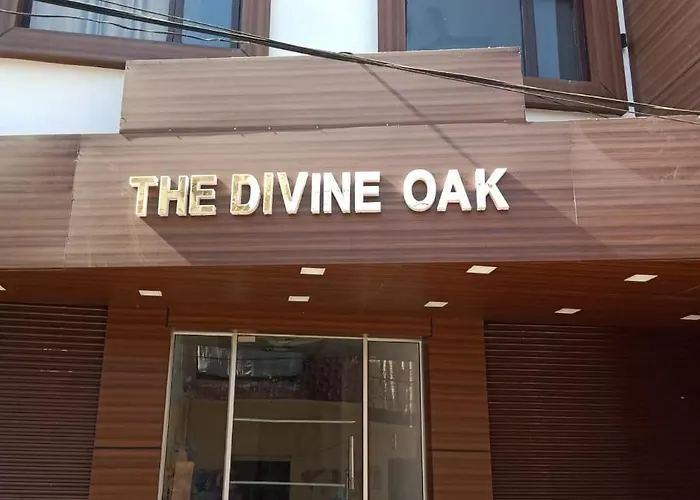 The Divine Oak