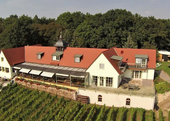 Pension Bella Vista - Winzerhof Golk Meißen