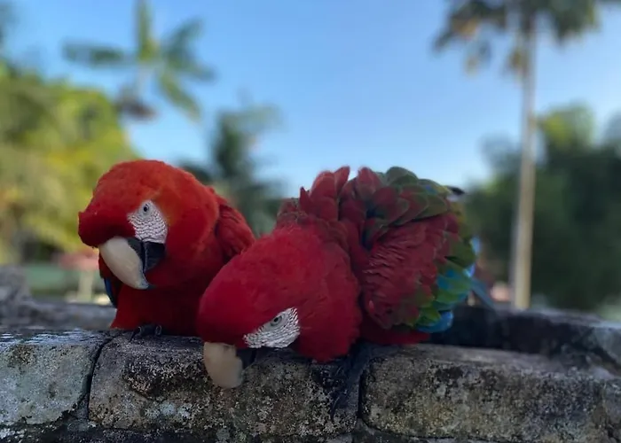 Hotel Jardim Tropical
