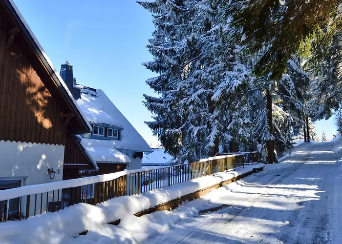 Erzgebirgshotel Misnia Baerenfels