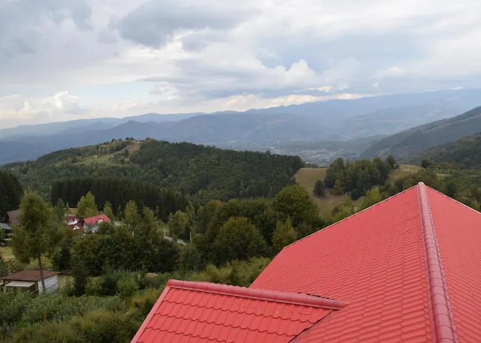 Pensiunea Bujor De Munte