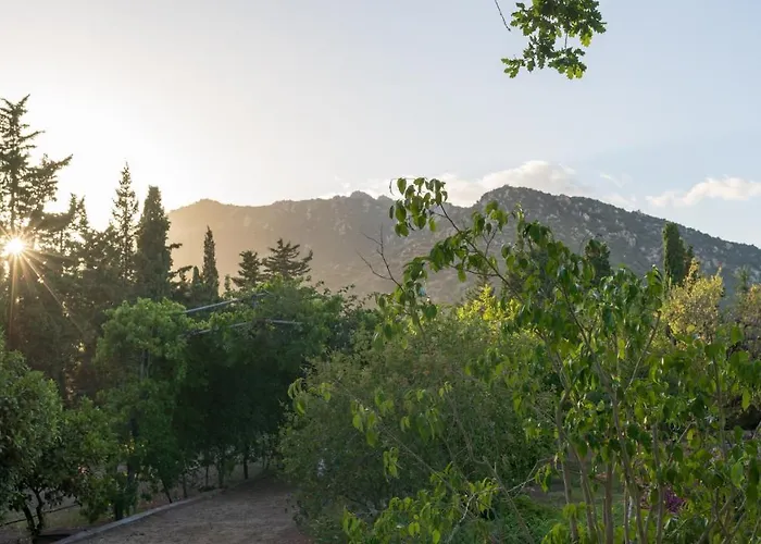 S'Arenada Hotel - Adults Only