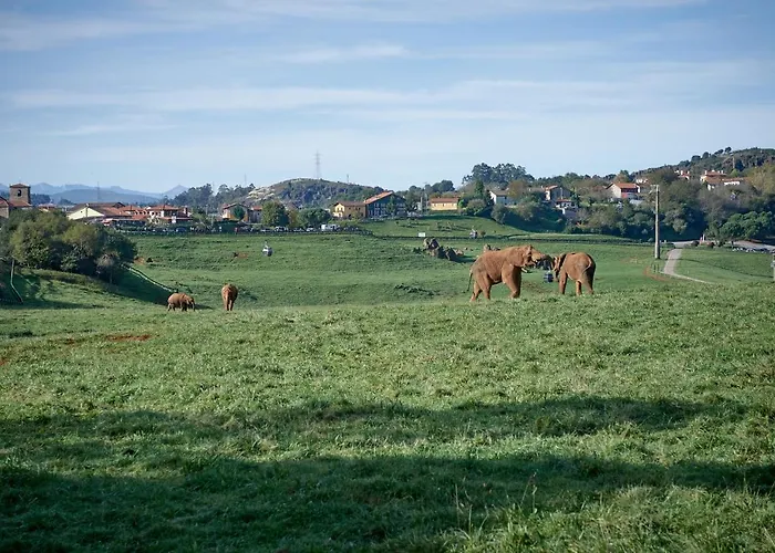 Posada Naturae