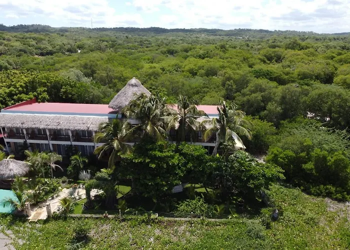 Alive Beach House