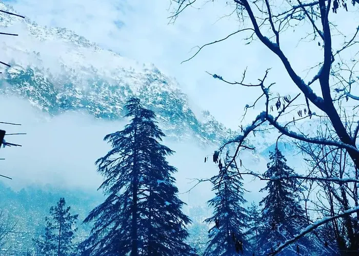 Hotel Himalayan Dews Ukhimath