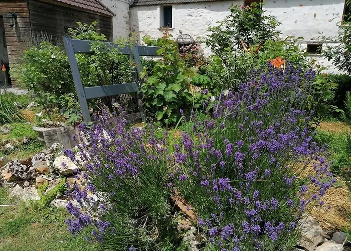 Hôtellerie Jardiniers Gourmands