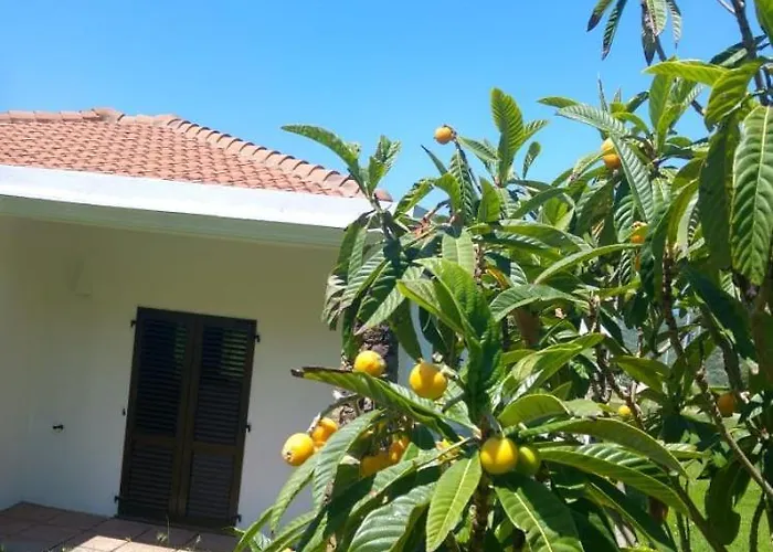 La Fattoria