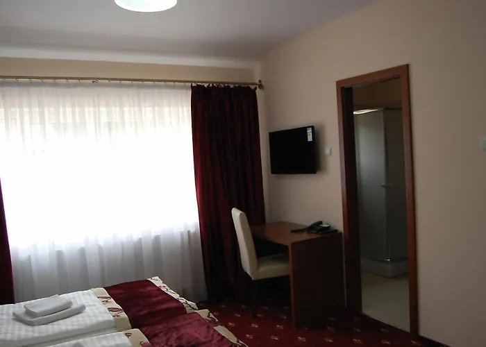 Hostel Paltinis