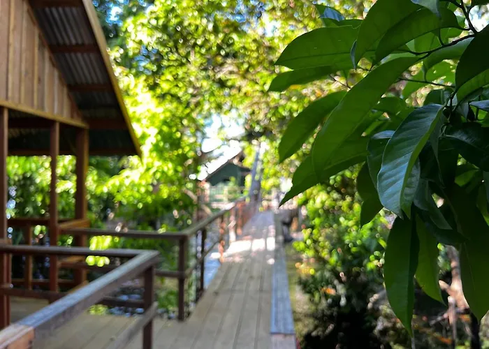 Amazônia Exxperience
