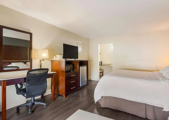 Surestay Hotel By Best Western Sarasota Lido Beach