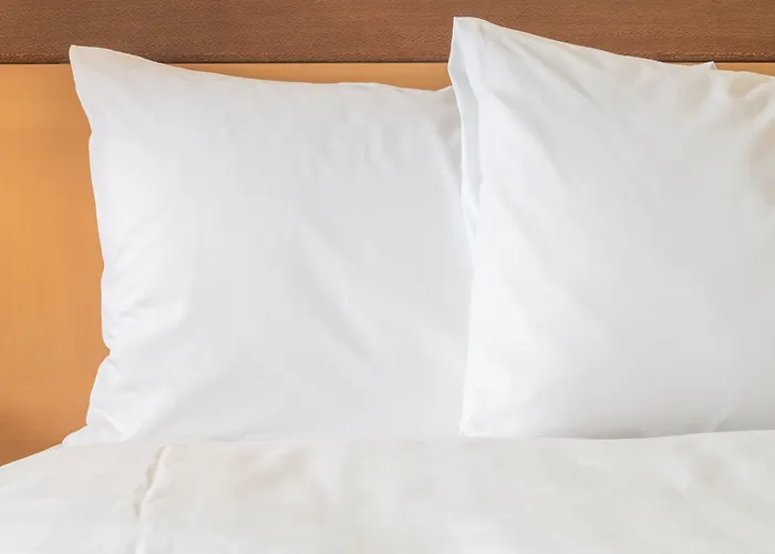 Holiday Inn Express Fremont - Milpitas Central By Ihg