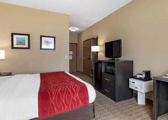 Comfort Inn & Suites Ponca City Near Marland Mansion