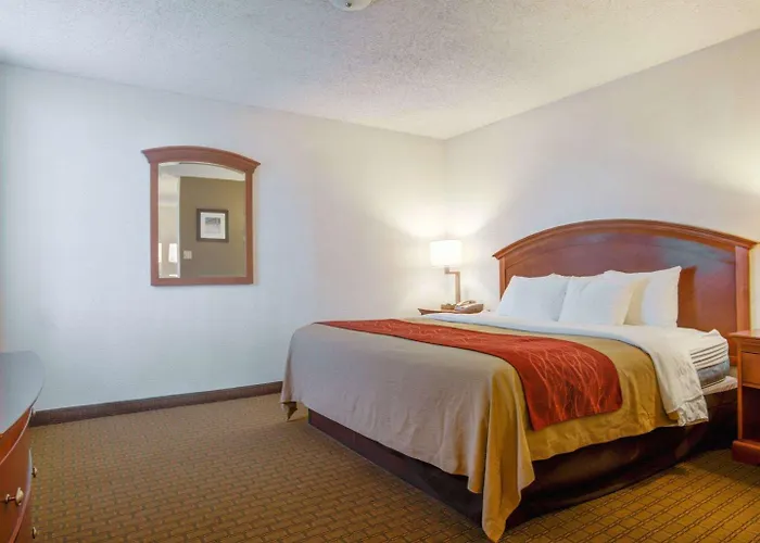 Comfort Inn