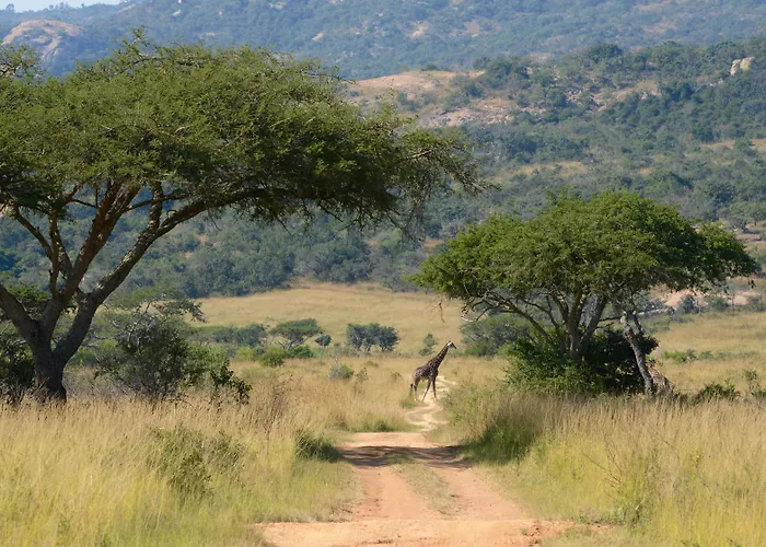 Tomjachu Bush Retreat