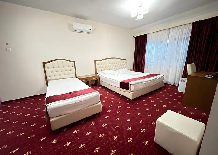 Hostel Paltinis