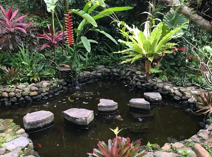 Rumah Kelapa Villa Alami