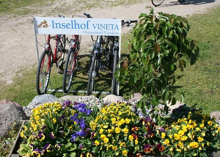 Haus Schwalbe Mit Vineta Komfort Haeusern