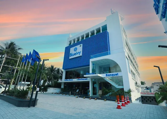 Hotel Blueivy Anand